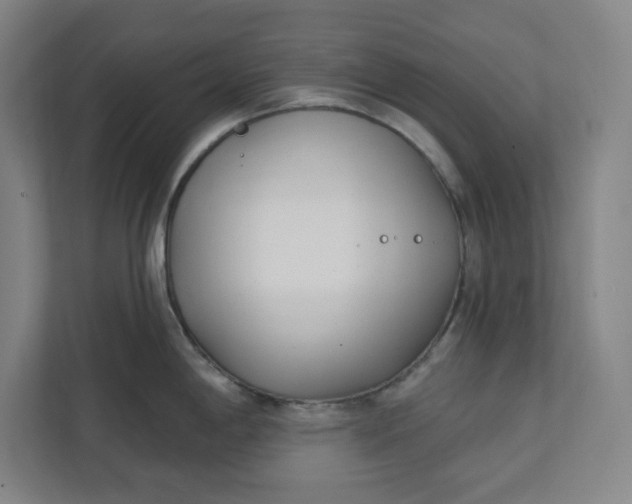 X0000112391198200908271333