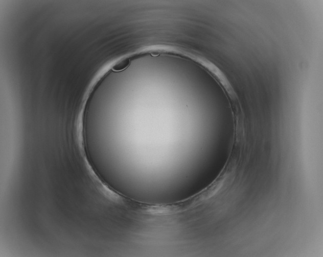 X0000112391199200908271333