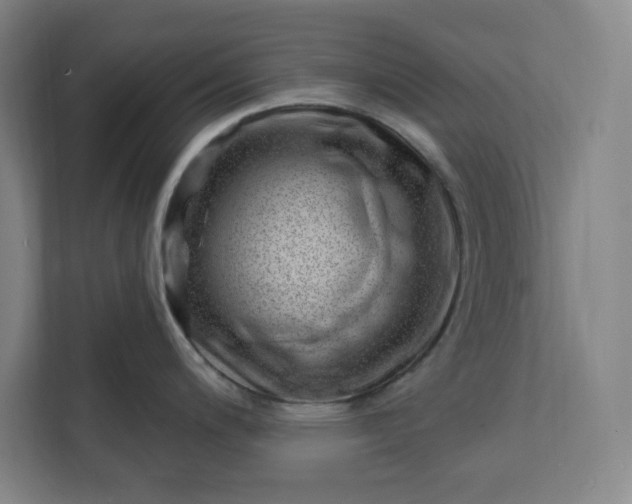 X0000112391200200908271333