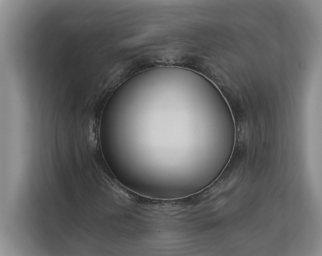 X0000112391202200908271333