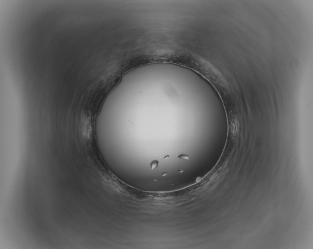 X0000112391204200908271333