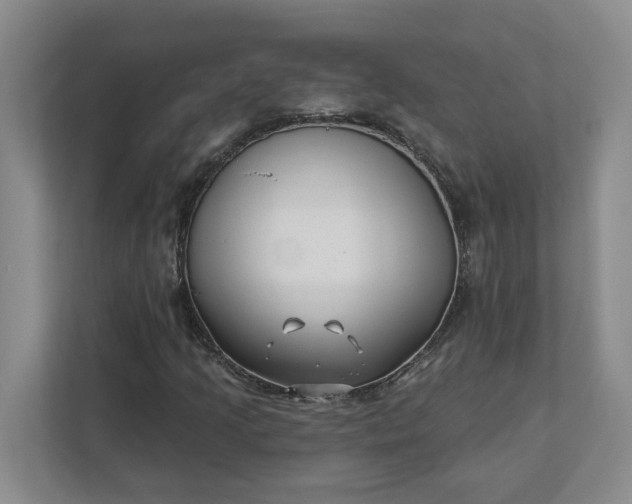 X0000112391205200908271333