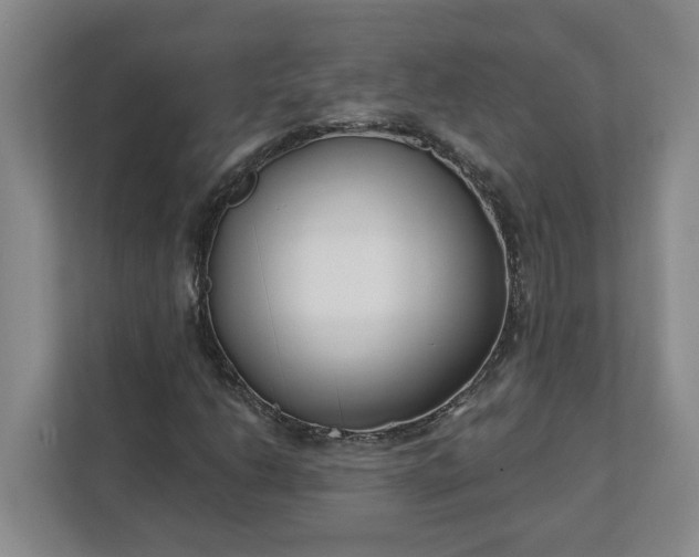 X0000112391206200908271333