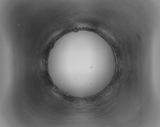 X0000112391207200908271333