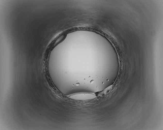 X0000112391208200908271333