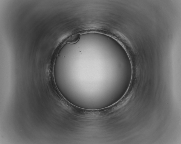 X0000112391210200908271333