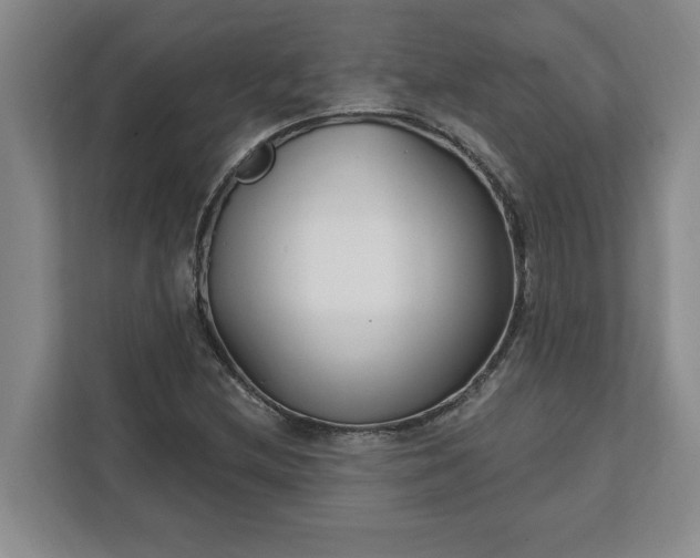 X0000112391212200908271333