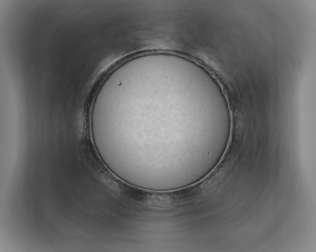 X0000112391215200908271333