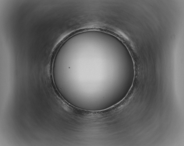 X0000112391216200908271333