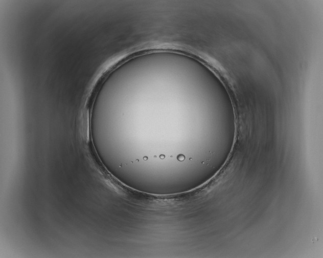 X0000112391223200908271333