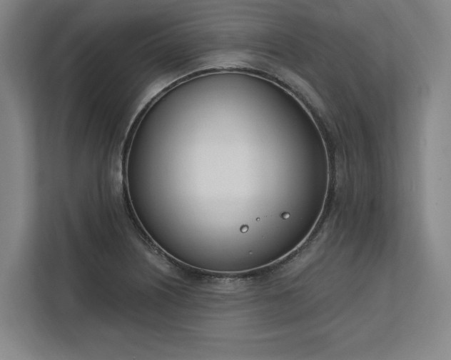 X0000112391226200908271333