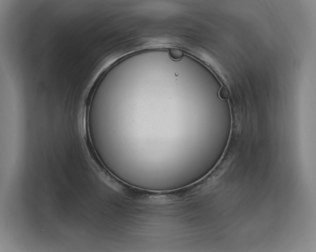 X0000112391227200908271333