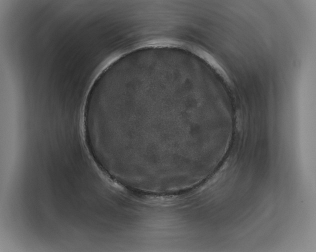 X0000112391229200908271333