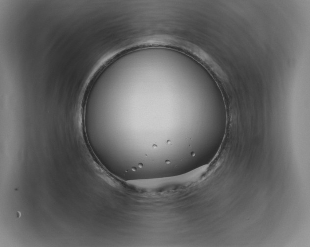 X0000112391232200908271333