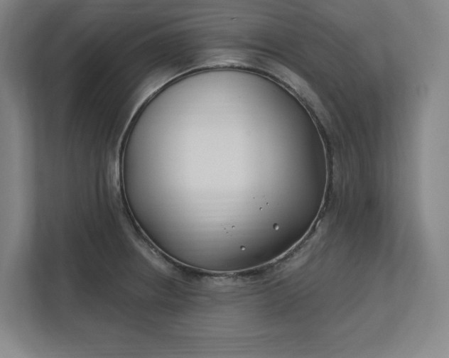 X0000112391234200908271333