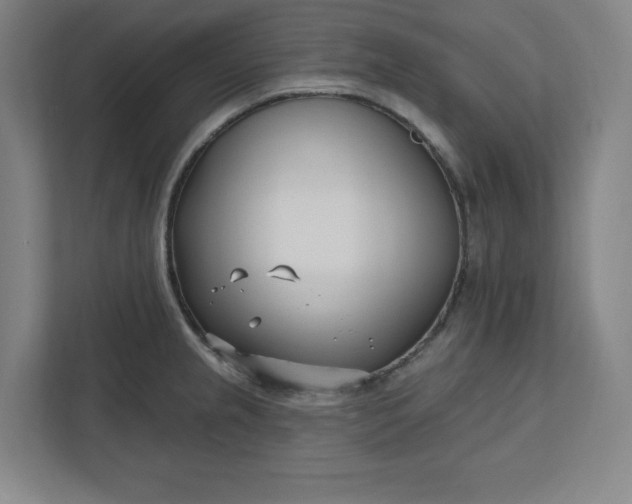 X0000112391237200908271333