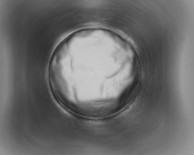 X0000112391239200908271333