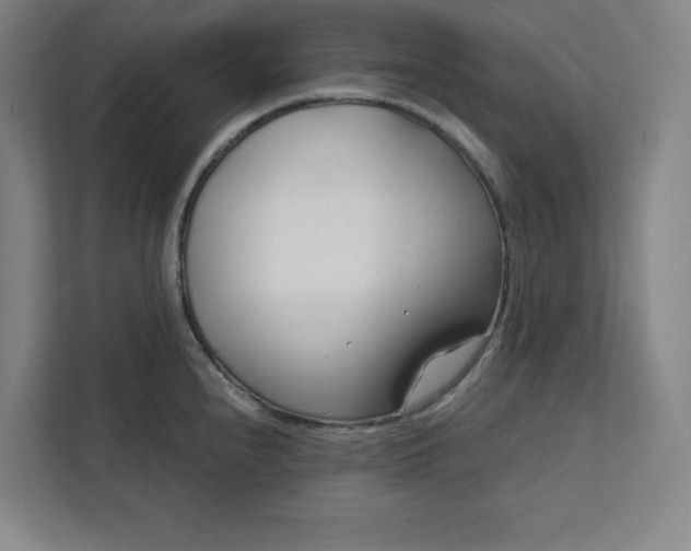 X0000112391240200908271333