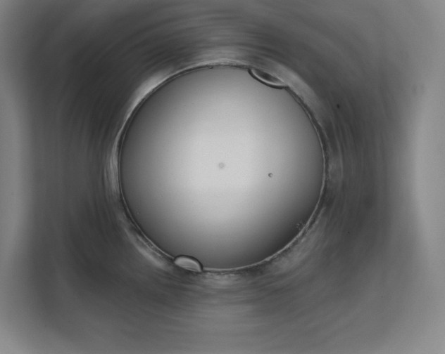 X0000112391242200908271333