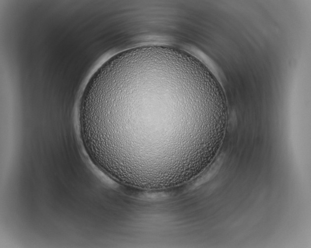 X0000112391243200908271333