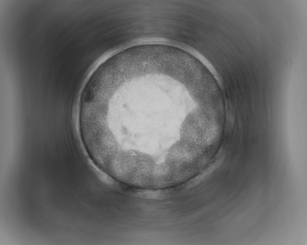 X0000112391245200908271333