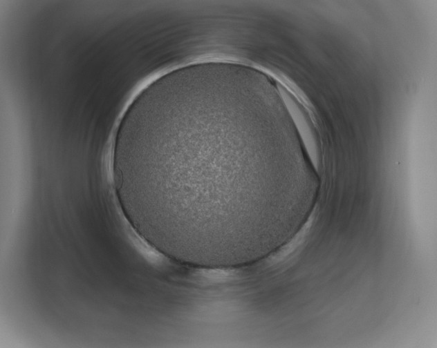 X0000112391246200908271333