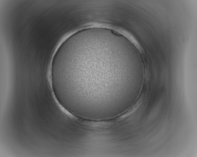 X0000112391247200908271333