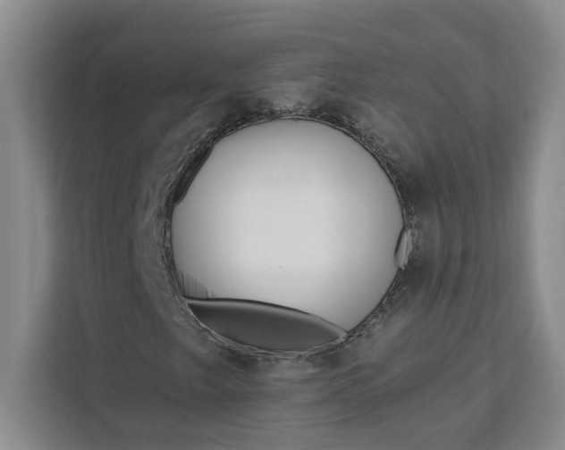 X0000112391249200908271333