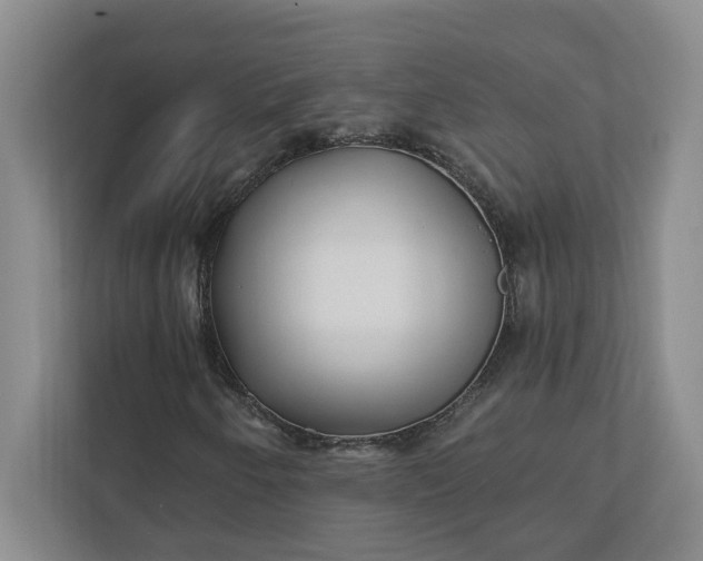 X0000112391250200908271333