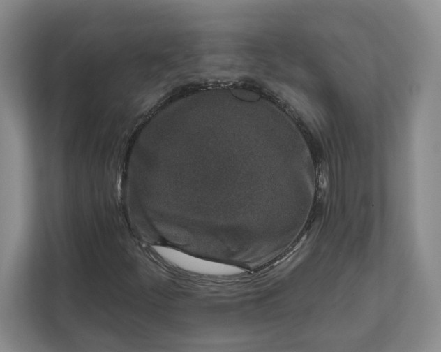 X0000112391252200908271333