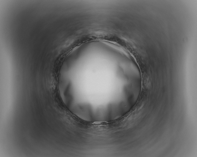 X0000112391253200908271333