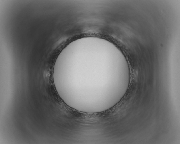 X0000112391254200908271333