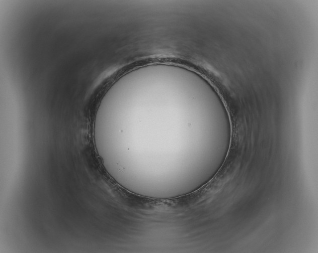 X0000112391255200908271333