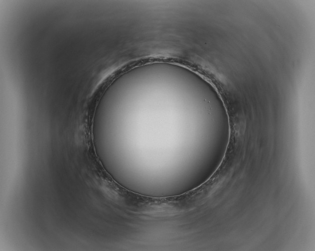 X0000112391256200908271333