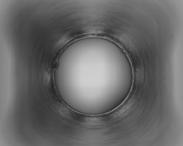 X0000112391257200908271333