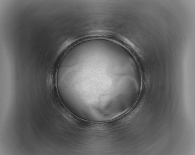 X0000112391259200908271333