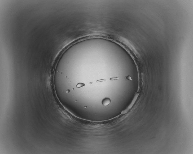 X0000112391260200908271333