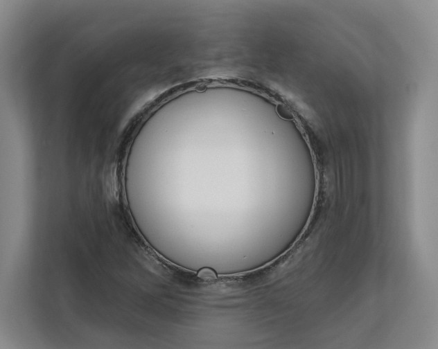 X0000112391262200908271333