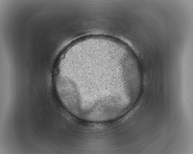 X0000112391263200908271333