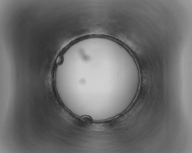 X0000112391264200908271333