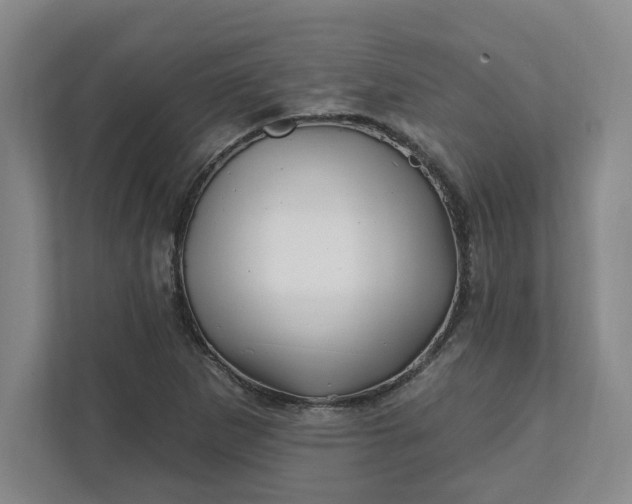 X0000112391265200908271332