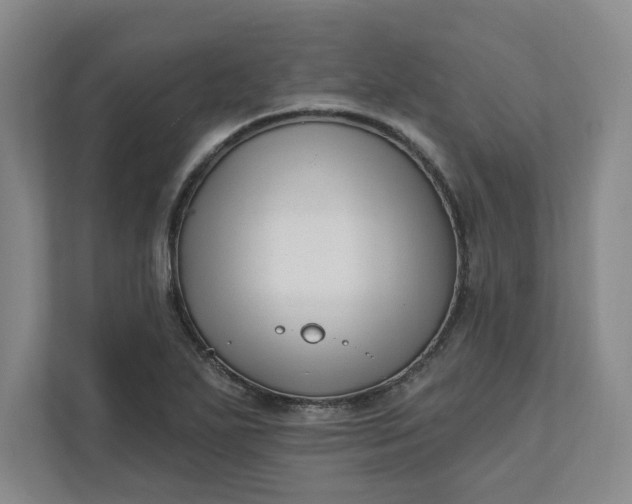 X0000112391271200908271332