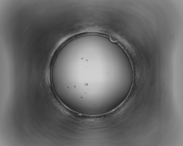 X0000112391272200908271332