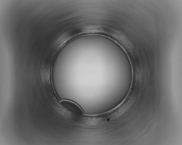 X0000112391273200908271332