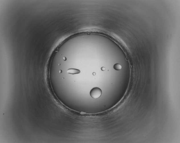 X0000112391277200908271332