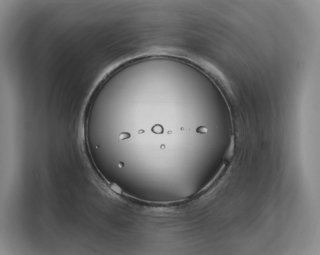 X0000112391280200908271332