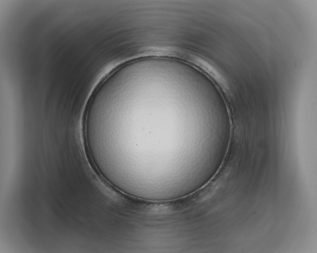 X0000112391283200908271332