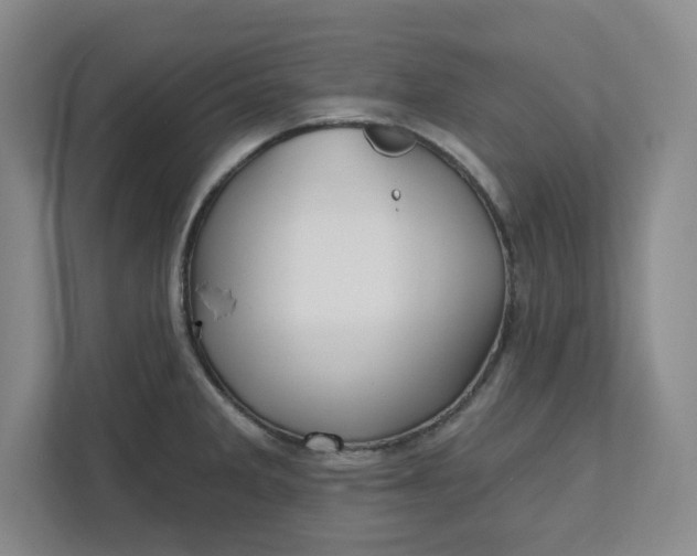 X0000112391285200908271332