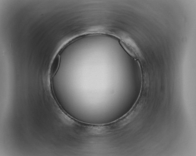 X0000112391288200908271332