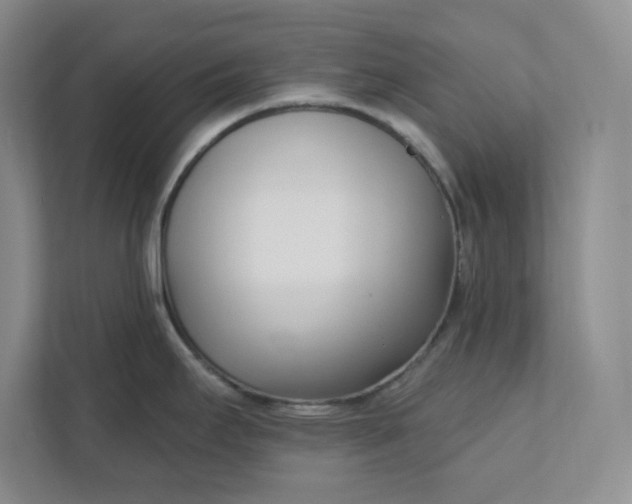 X0000112391295200908271332